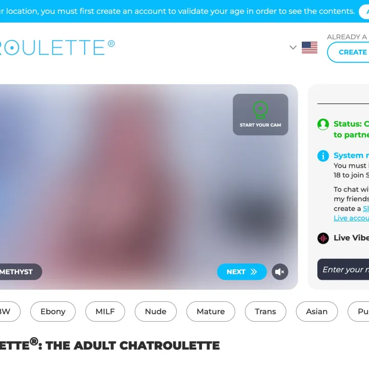 SlutRoulette screenshot 1